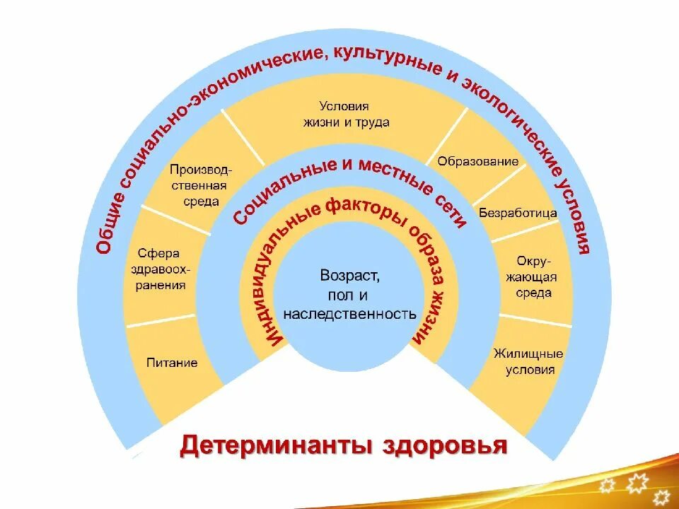 Тест основы здравоохранения. Основы здравоохранения и общественного здоровья. Теоретические основы общественного здоровья и здравоохранения. Основы здравоохранения и общественного здоровья формулы. 1. Теоретические основы общественного здоровья и здравоохранения..