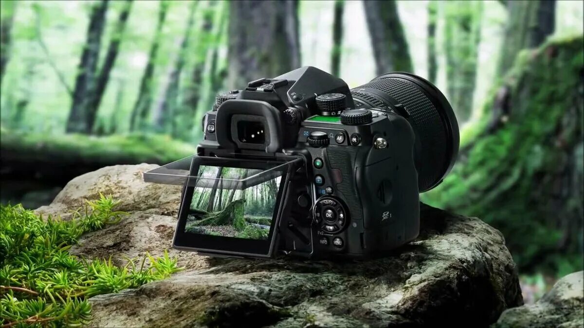 Лучший фотоаппарат для фотографа 2023
