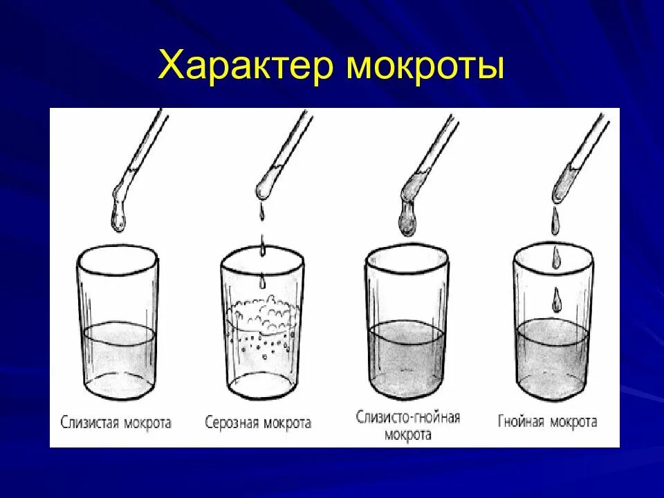 Посев легких