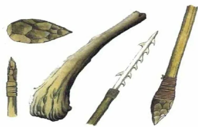 Последовательность использования предками человека орудий. Орудие труда у древних людей неандертальцы. Орудия труда неандертальцев. Древние неандертальцы орудия труда. Древние люди неандертальцы орудия труда.