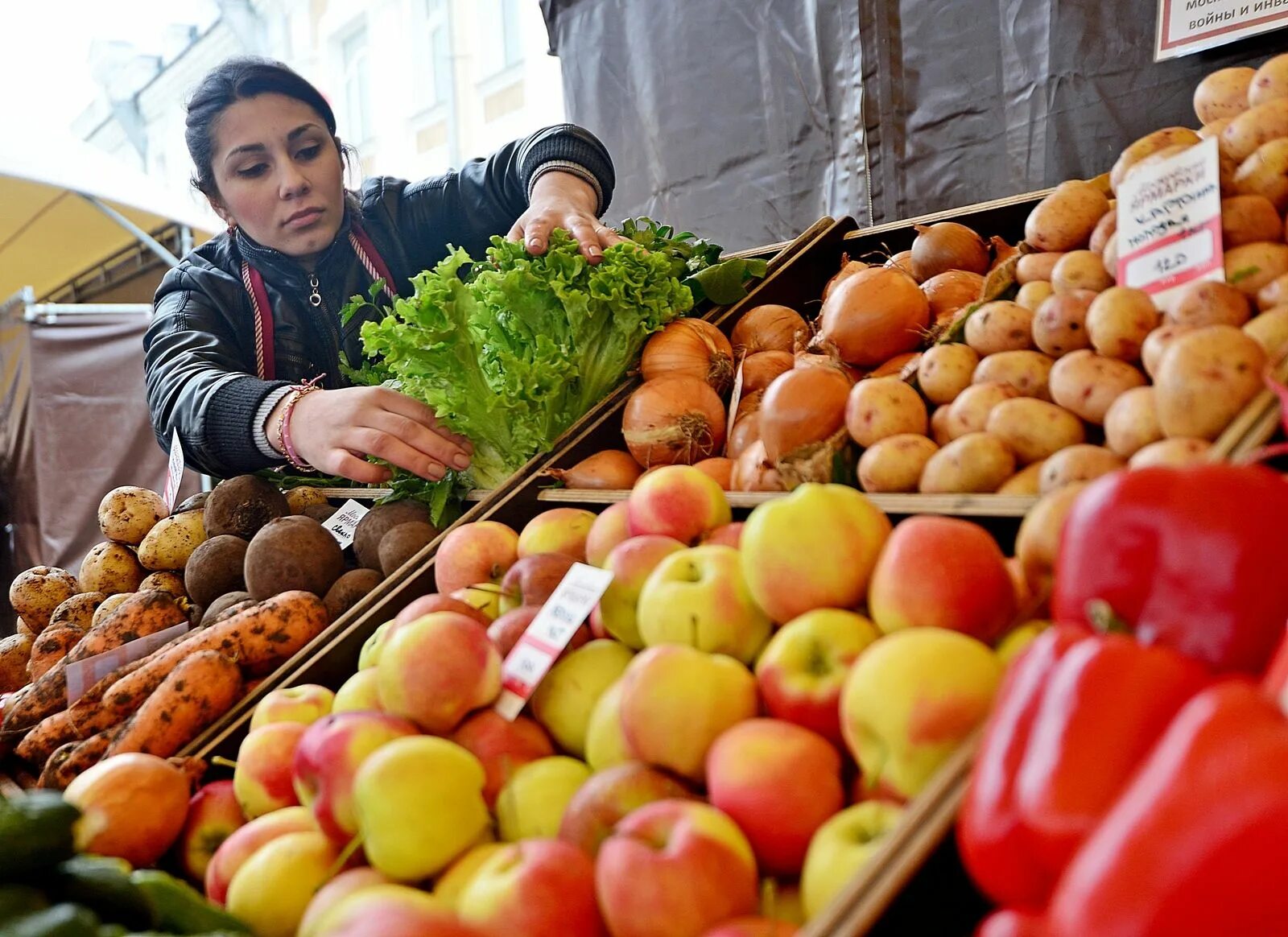 Проведение ярмарки выходного дня. Ярмарка выходного дня. рынок сельхозпродукции. ярмарка продукты. ярмарка выходного дня в москве.