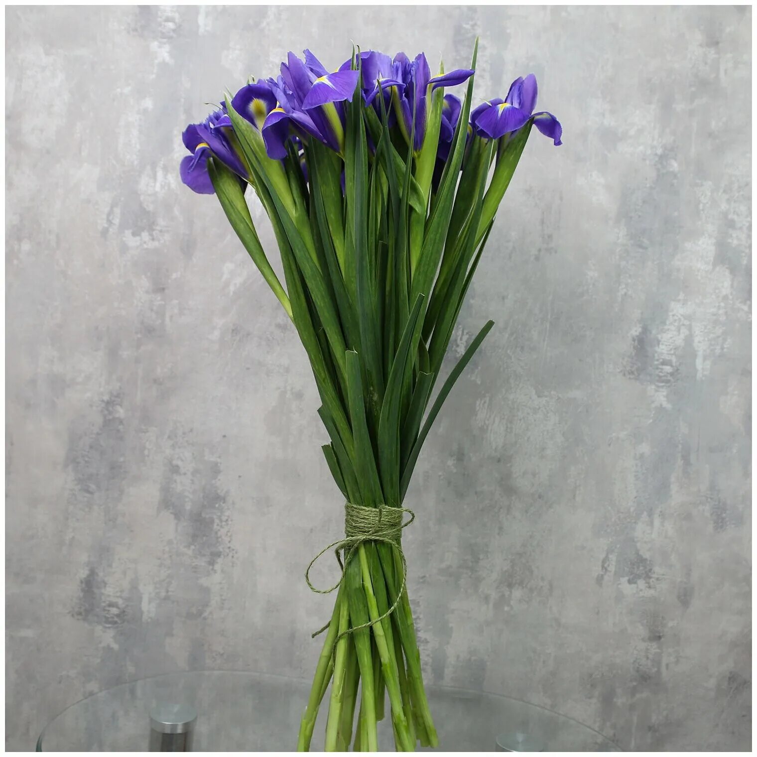 красивый букет ирисов. букет из 21 синий ирис. монобукет - ирисы. ирисы в упаковке. букет «21 синий ирис».