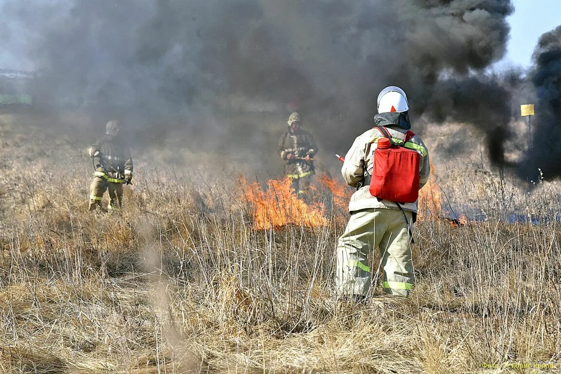 Пожар на Волчихе 2021. Пожар в лесу. Гора Волчиха пожар. Лесной пожар фото.
