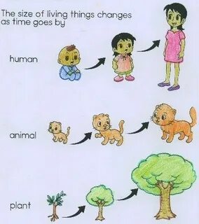 Things that change lives
