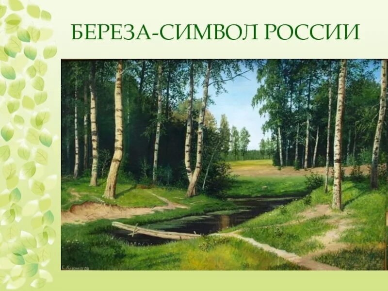 Березка основа. Русская берёзка символ России. Береза символ России. Береза символ оусскц культуры. Береза символ.