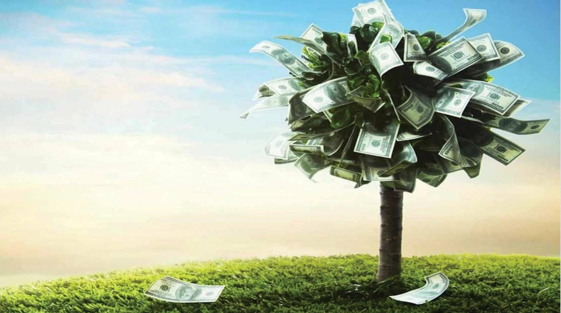 Дерево с деньгами. Деньги фон. Дерево из долларов. Дерево из денег. Умножить свое богатство