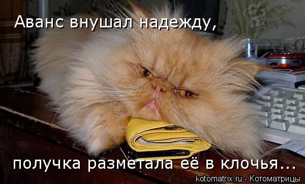 с днем аванса. мемы про аванс. аванс прикол. аванс пришел. где аванс картинки прикольные.