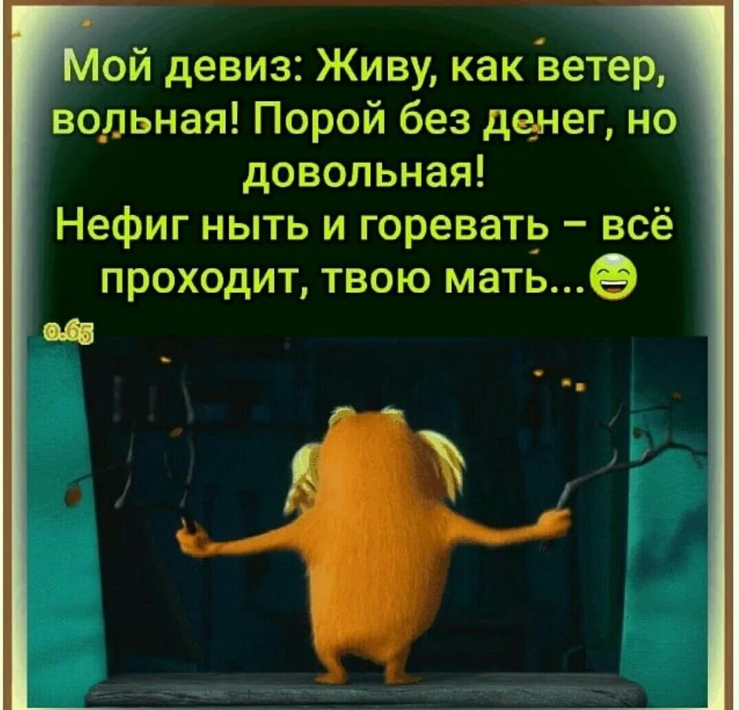 Жить под девизом. Мой девиз живу как ветер вольная. мой девиз живу как ветер вольная порой без денег но довольная. позитивный девиз по жизни. девиз жить с юмором.