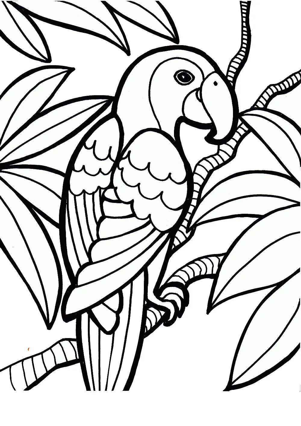 Раскраски контуры распечатать. Ожереловый попугай раскраска. Рисунки для раскрашивания. Рисунки для разукрашивания. Птицы. Раскраска.
