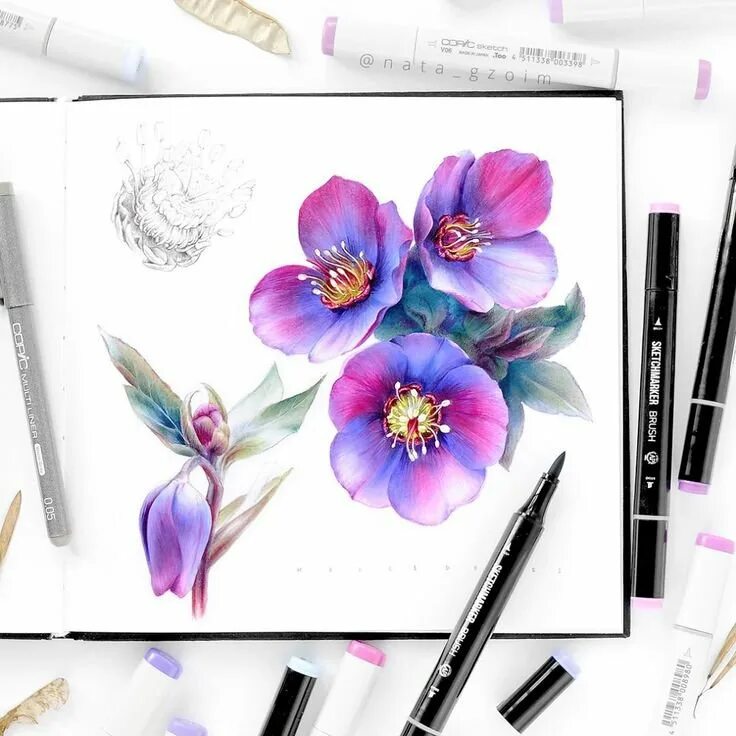 Маркеры для скетчинг. Маркер «цветок». Скетчинг цветы. Ботанический скетчинг маркерами. Маркер «цветок».