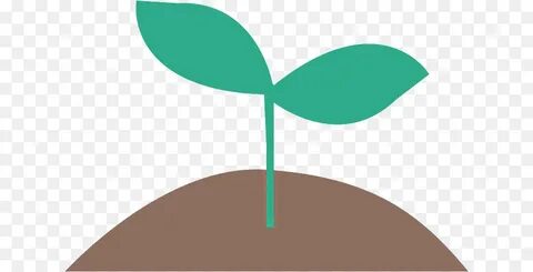Pdf plant