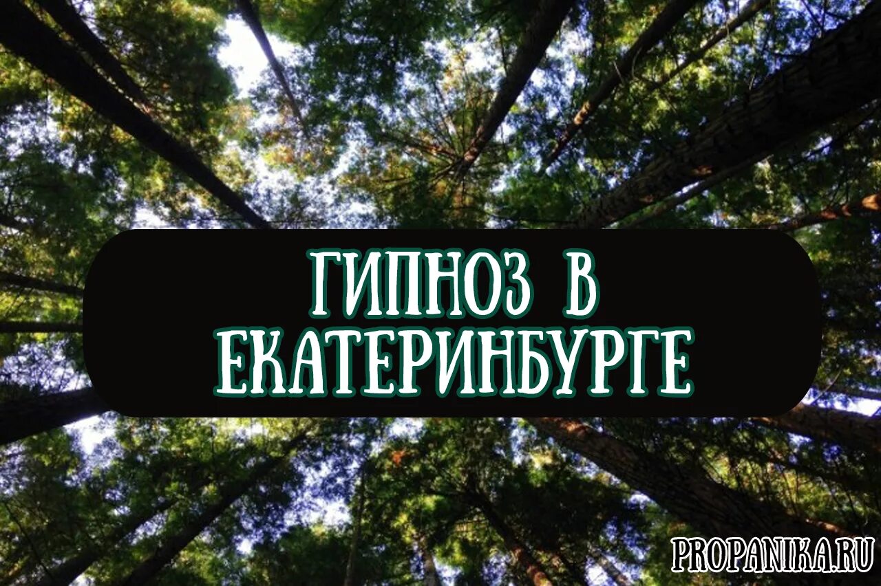 Гипноз екатеринбург. Гипноз екатеринбург. Гипноз екатеринбург. Гипнотерапевт. Гипнотерапия.