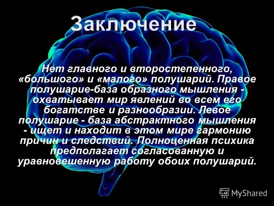 Почему зрение важнейшее условие формирования головного мозга