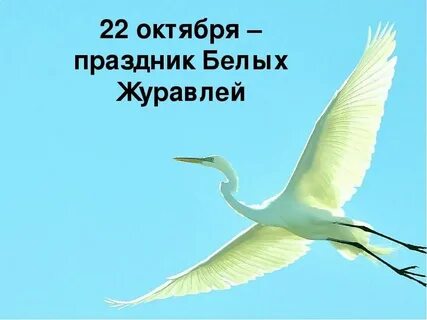 22 октября какой праздник международный