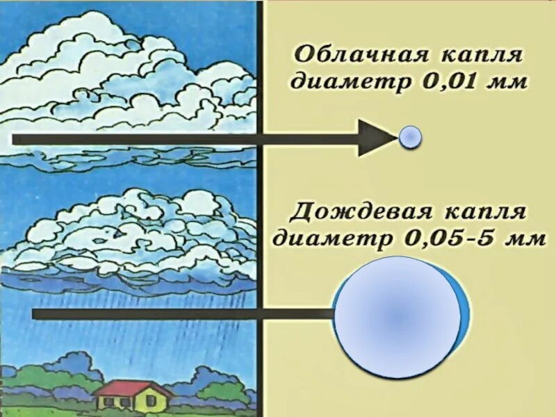Образование облаков осадки. Схема образования облаков. образование дождевых капель. образование облачности. образование дождя схема.