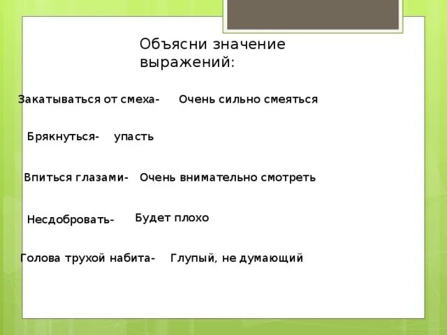 Главная мысль текста чибисы. Яростно машут значение. Что означает выражение яростно машут. Значение выражения объяснение. Объясни выражение яростно машут.