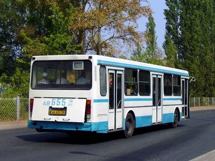 Автобус 299 спб