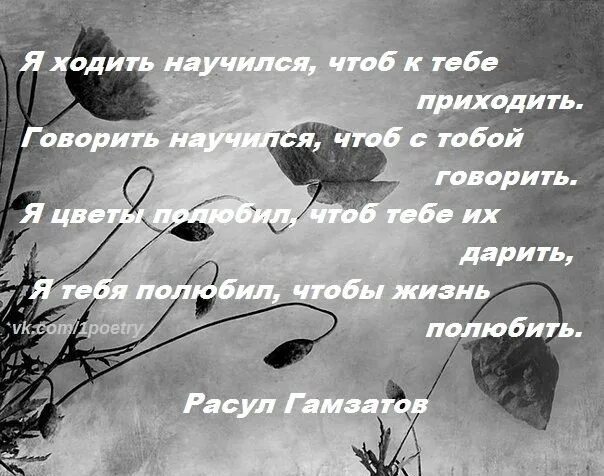 Чтоб к тебе приехать не нужно ни. Я ходить научился чтоб к тебе приходить стих. стих я ходить научился. гамзатов стихи о любви.