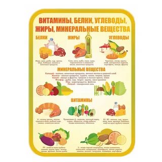 Белки жиры углеводы 6 класс биология