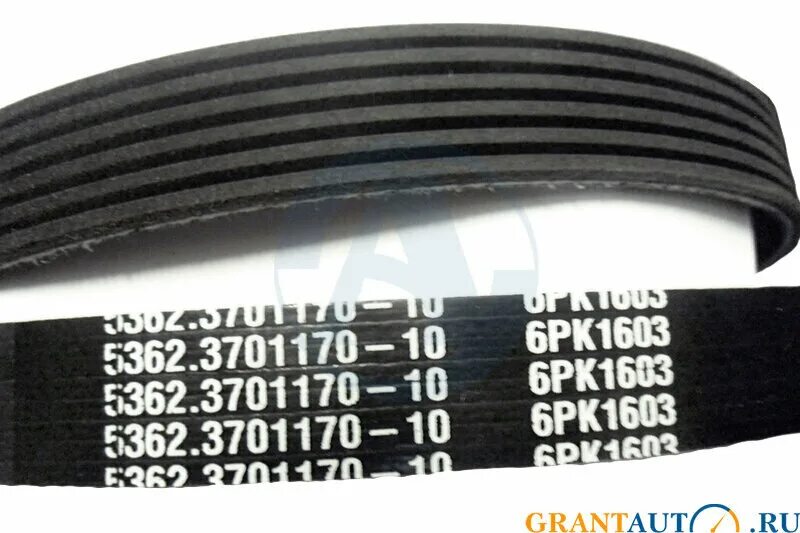 1308170-10 ремень привода вентилятора. ремень водяного насоса ямз 536. ремни ямз 536 размеры. ремень генератора 6рк1016. ремень ямз 536 6рк 1603.