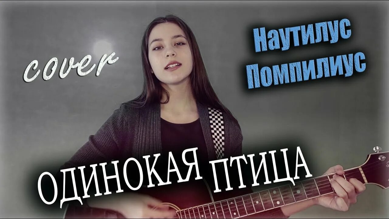 Песня наутилуса птица. Одинокая птица Наутилус. Наутилус Помпилиус одинокая птица. Наутилус группа одинокая птица. Одинокая птица на гитаре.