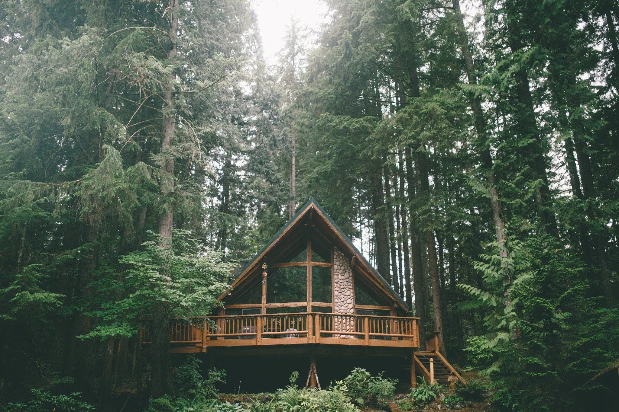 Домик среди сосен. Forest House Хижина в лесу. Друскининкай лес избушка. Сосновый Бор Хижина. "Лесная Хижина Подмосковье".