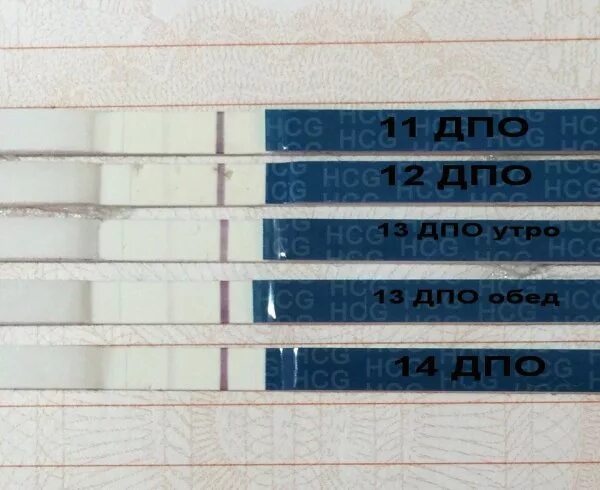 Дпо. 11 дпо слабоположительный. 10дпо всер. Ефп дпо. Ефп дпо.