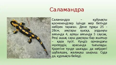 Сев Инч Муминовамен өзбек порно массажы