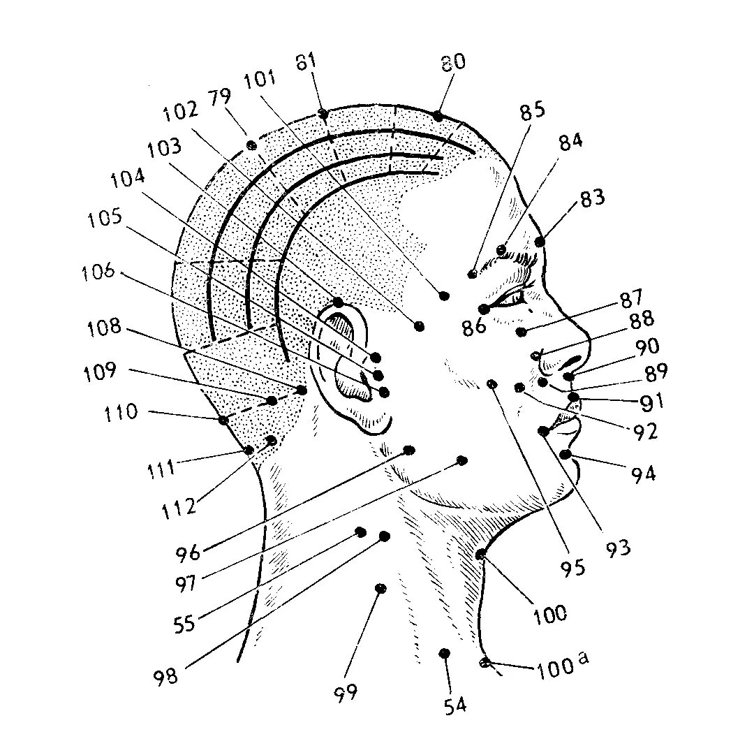 Активные точки акупунктура. Акупунктурные точки головы схема. Акупунктурные точки на голове.