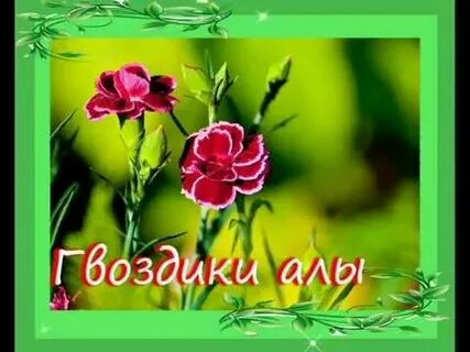 Песня алые гвоздики на снегу