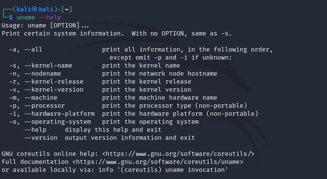 Uname linux. Команда uname. uname команда линукс. uname -v linux команда.