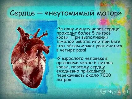 Сердечный прошедший