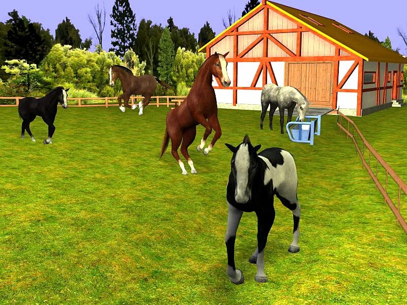 Играть про лошади. Игра my Horse and me 2. Игры про лошадей на ПК. Немецкая игра про лошадей. Самые лучшие игры про лошадей.