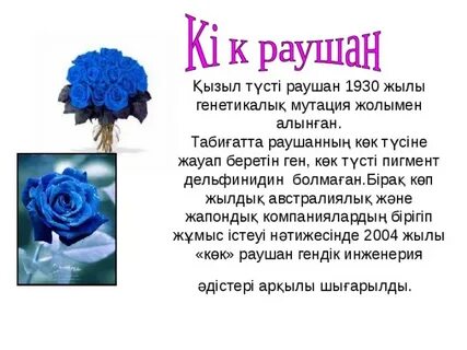 Аналармен оргияларды көрсететін порнофильмдер