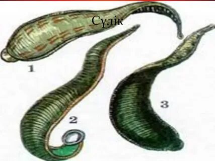 Анна Семенович порно видео