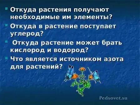 Где цветок взял
