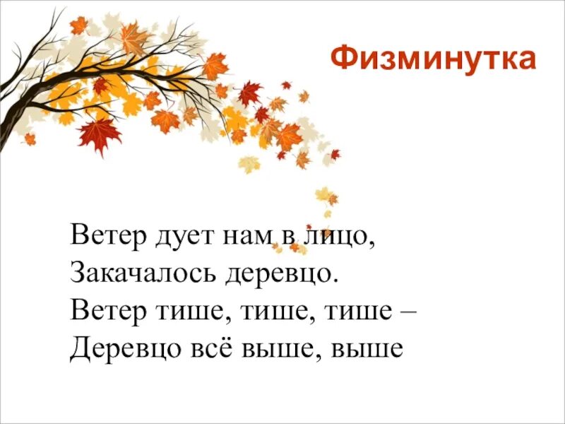 Физминутка ветер дует нам в лицо. Физ мунуька ветер дует нам в лицо. Ветер дует нам в лицо закачалось деревцо физминутка. Физминутка ветер. Песни ветер дует в лицо