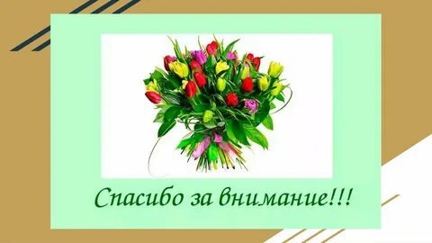 МБДОУ "Детский сад № 172" " Муниципальное бюджетное дошкольное образовательное у
