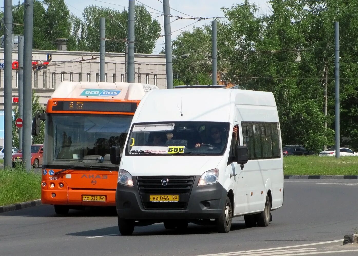 Газовый автобус. Маршрут 235. Автобус газ. Газ-a65r52 next. Маршрут 235 нижний новгород.
