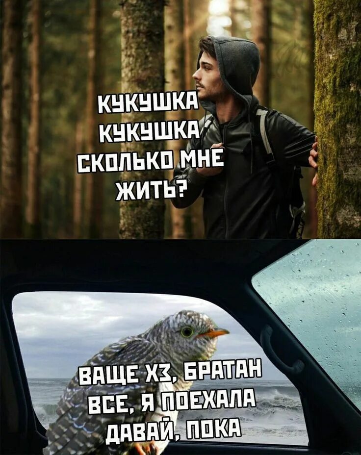 Пин на доске Просто нужно Мемы, Смешные тексты, Веселые мемы