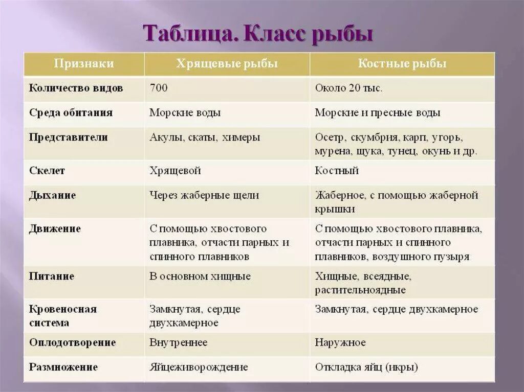 Характеристика классов рыб таблица 7 класс