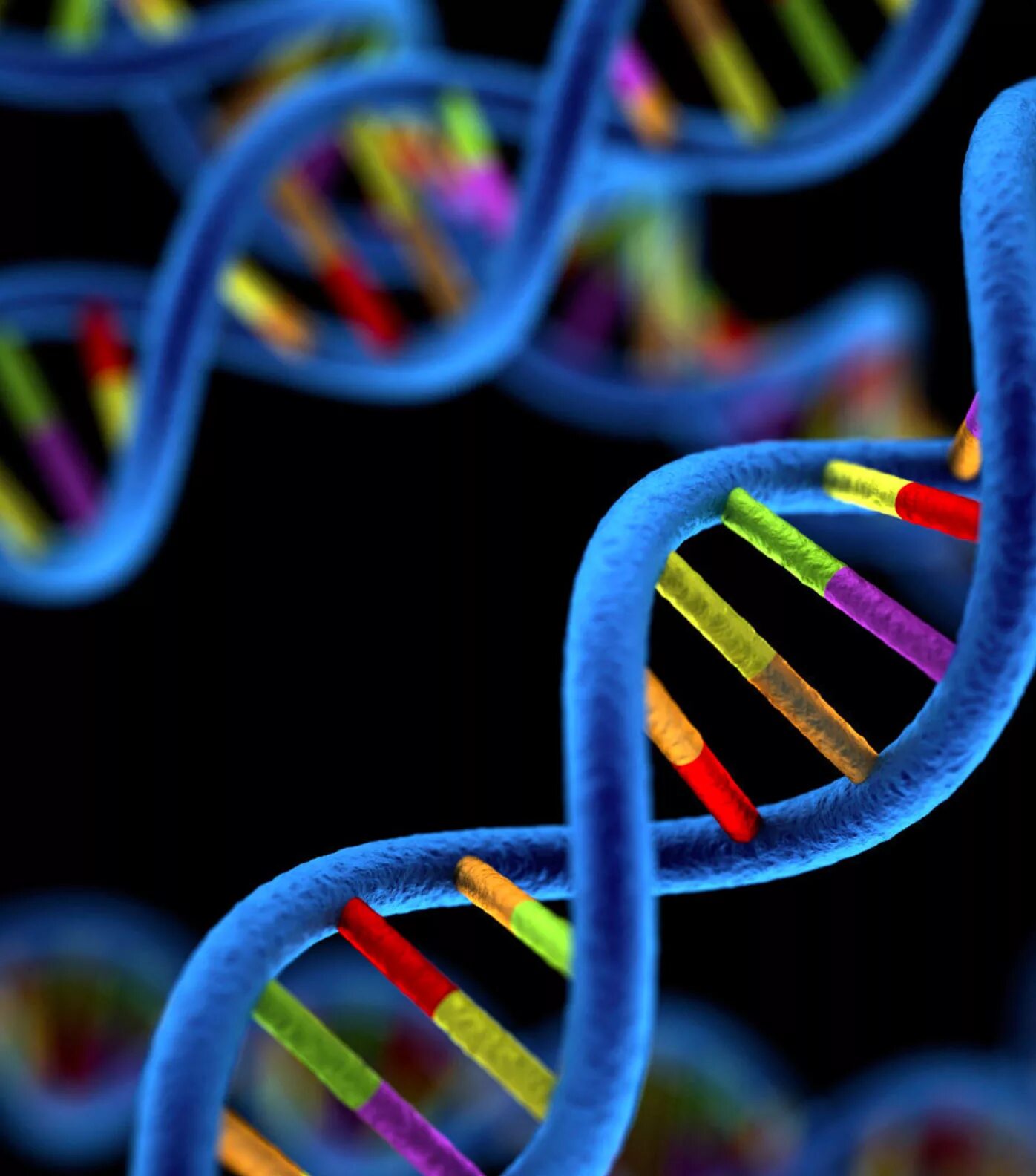 Матрица геном. Днк человека. Геном новорожденного гаряев. Терминация трансляции механизм. Гаряев петр петрович волновая генетика матрицы.