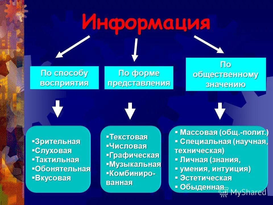 Организация и ее свойства