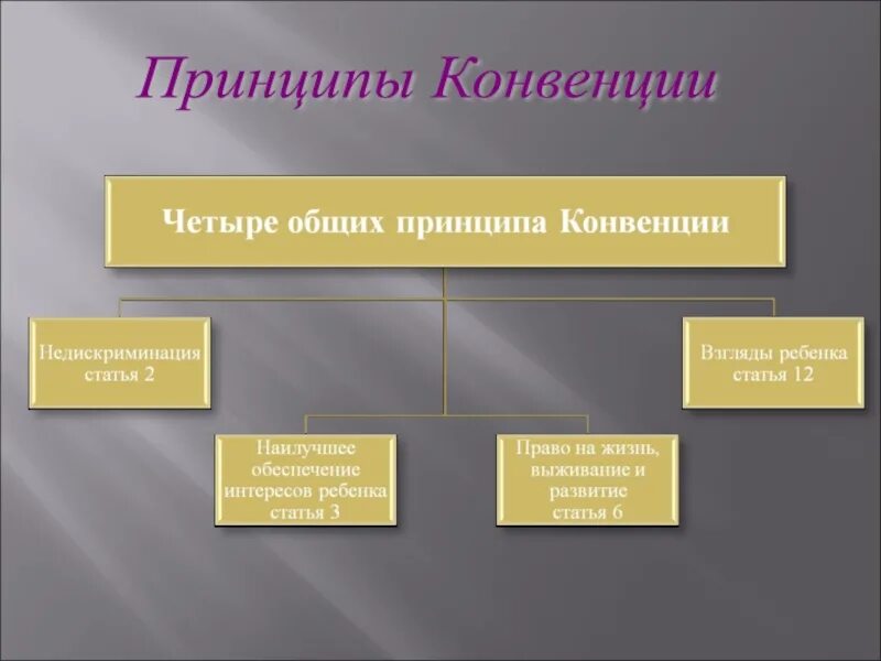 Принципы конвенции оон. Основные принципы конвенции о правах ребенка. принципы конвенции. четыре общих принципа конвенции. основная идея конвенции о правах ребенка.