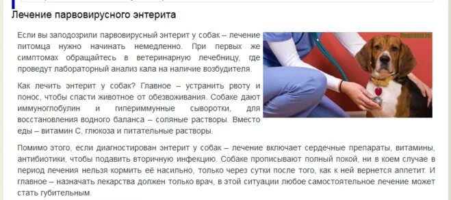 Как остановить рвоту у собаки. Обработка от энтерита у собак.