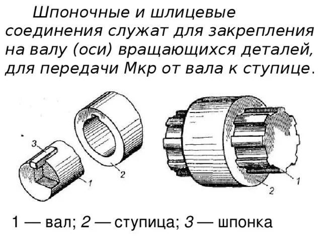 Сборка шпоночных соединений. Шпоночные и шлицевые соединения. Назначение шпоночных и шлицевых соединений. Шпоночные шлицевые и штифтовые соединения. Шпоночное и шлицевое соединение чертеж.