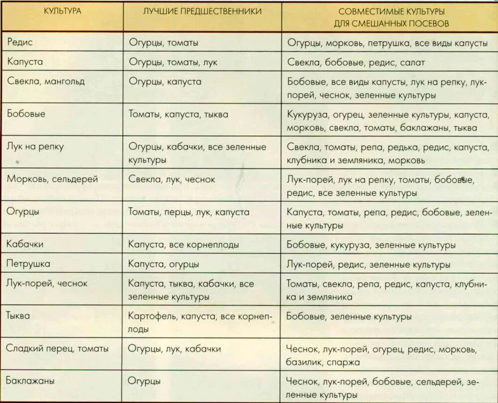 Можно ли сажать лук после чеснока. После чего сажать лук. После каких культур сажать. После чего можно посадить лук. Лучшие предшественники.