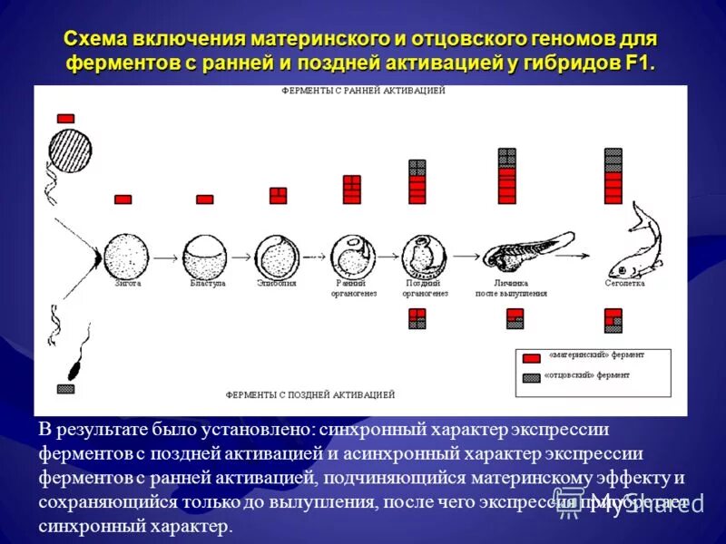 Настройка гибридов