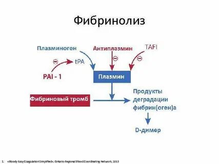 Плазминоген