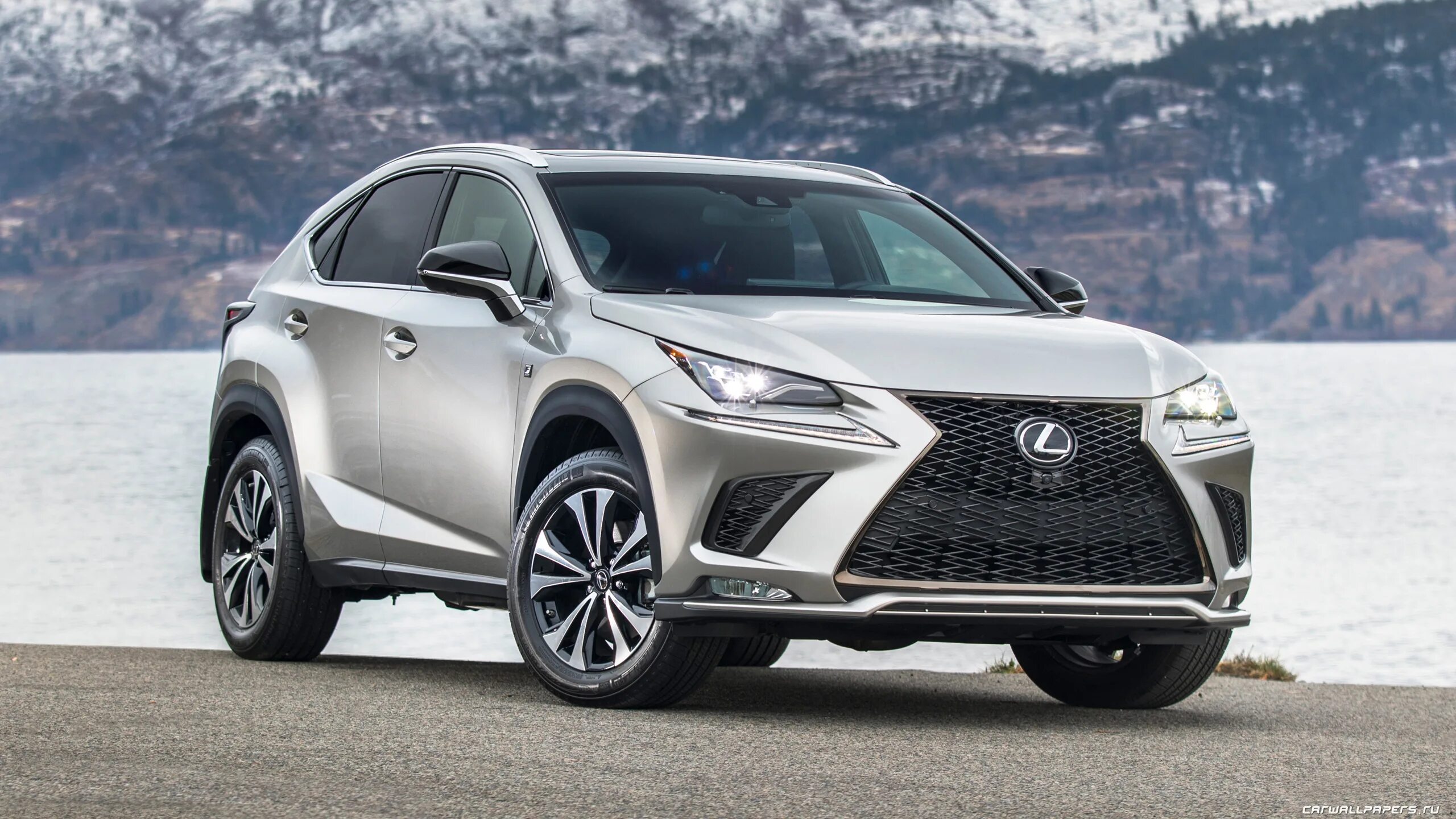 Тойота лексус 300. Lexus nx300 2022. Лексус nx300 новый. Лексус nx300 2019. Lexus NX 2017.